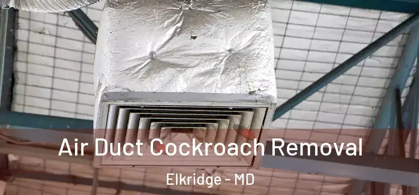Air Duct Cockroach Removal Elkridge - MD