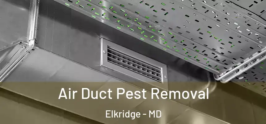  Air Duct Pest Removal Elkridge - MD