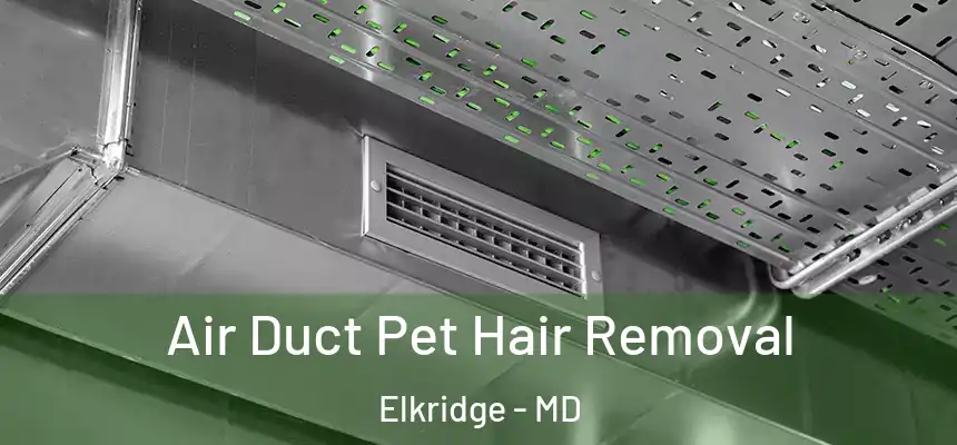 Air Duct Pet Hair Removal Elkridge - MD