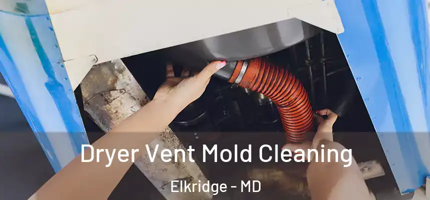 Dryer Vent Mold Cleaning Elkridge - MD