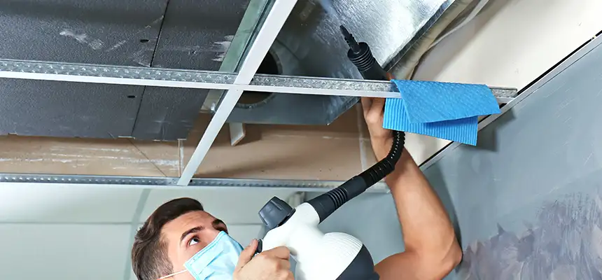 Our Air Duct Rodent Removal Services in Elkridge, MD