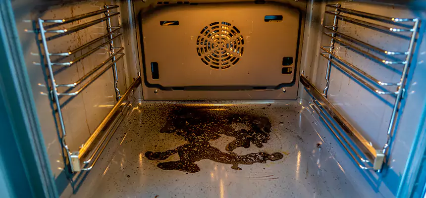 Our Dryer Vent Mold Cleaning Services in Elkridge, MD