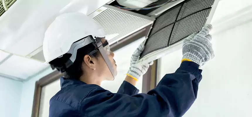 Our Mold & Mildew Removal from Air Ducts Services in Elkridge, MD