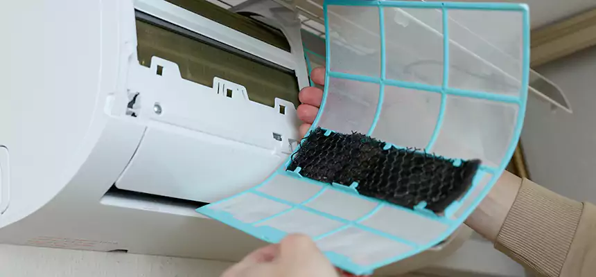 Gentle Ductwork Odor-Control Pet Dander Duct Cleaning in Elkridge, MD