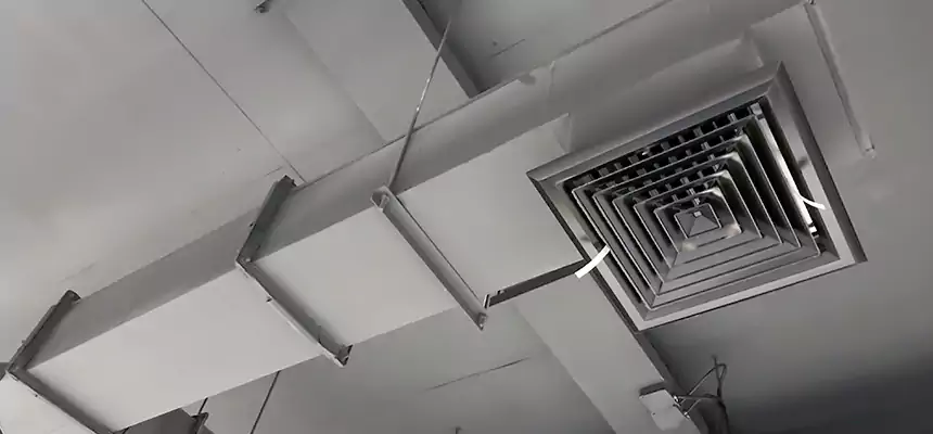 Our Rodent Droppings In Vents Services in Elkridge, MD