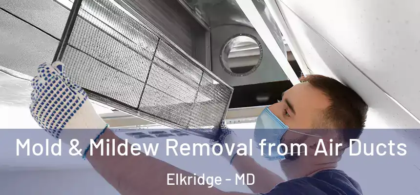  Mold & Mildew Removal from Air Ducts Elkridge - MD