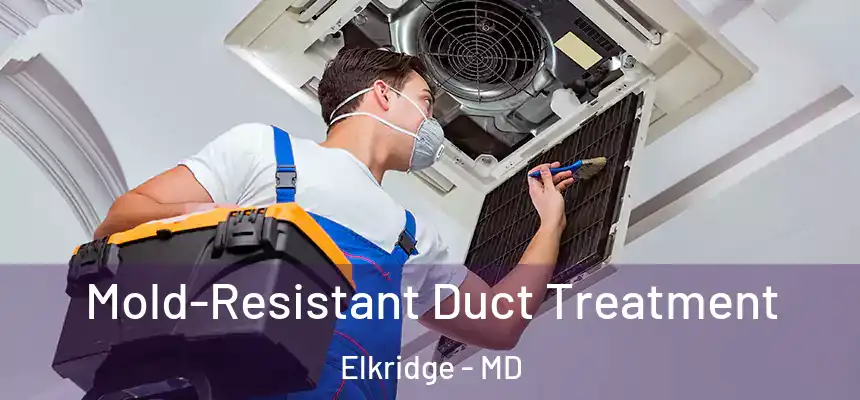  Mold-Resistant Duct Treatment Elkridge - MD
