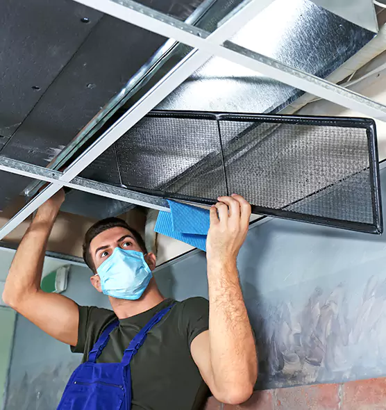 About Air Duct Bacteria Removal in Elkridge