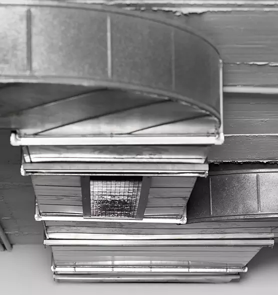 Professional Air Duct Pet Hair Removal in Elkridge, MD