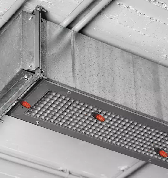 Affordable Insect Removal from Air Ducts in Elkridge, MD