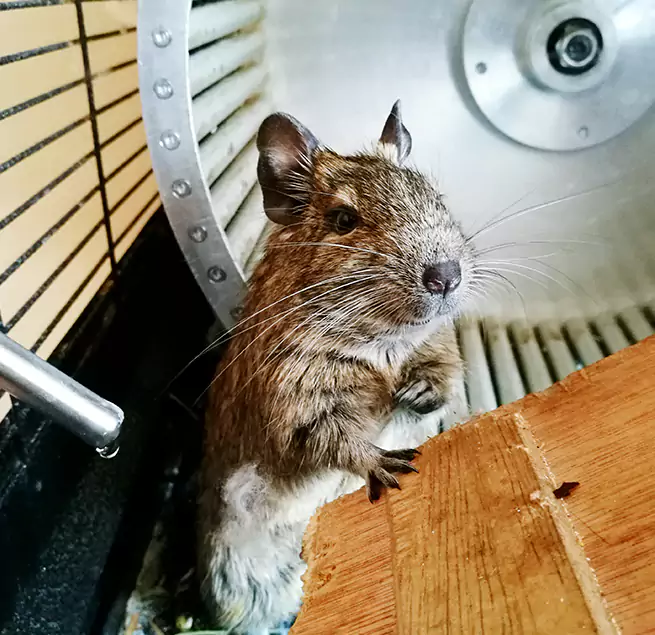 Why Homeowners & Businesses Trust Us Elkridge, MD