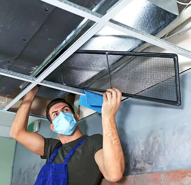 Why Homeowners Businesses Trust Us in Elkridge, MD